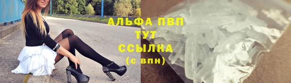 прущие крисы Беломорск