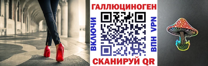 Галлюциногенные грибы Psilocybine cubensis  Ленск 
